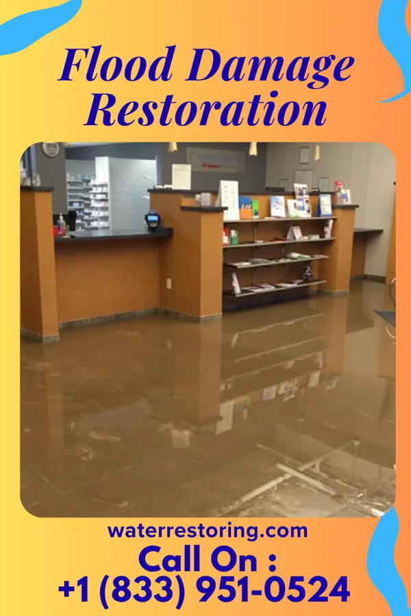 Flood Damage Restoration in Sebring, FL